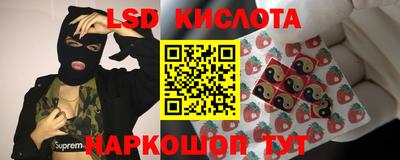 гашик Надым
